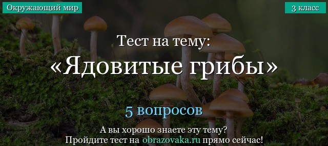 Тест на тему «Ядовитые грибы»
