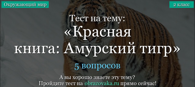 Тест на тему «Красная книга: Амурский тигр»