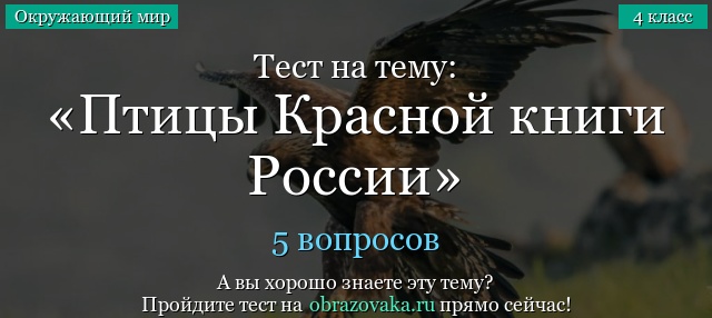 Тест на тему «Птицы Красной книги России»