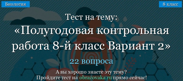 Тест на тему Полугодовая контрольная работа 8-й класс Вариант 2