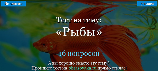 Тест на тему Рыбы