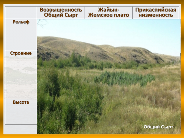 Рельеф Прикаспийской низменности. Строение почв Восточно европейской равнины. Общий сырт на карте. Восточно-европейская равнина высота.