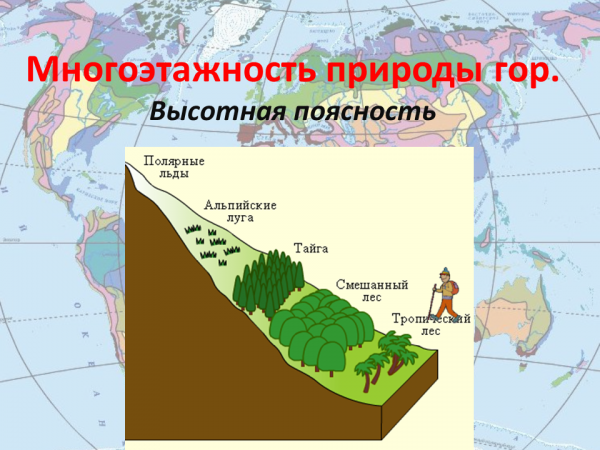 Высотная поясность россии 8 класс география