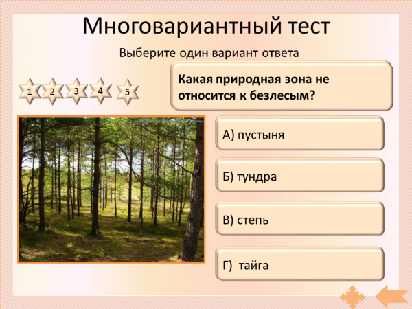 Природные зоны. Презентация по природным зонам. Природные зоны России 8 класс. Природные зоны России презентация.