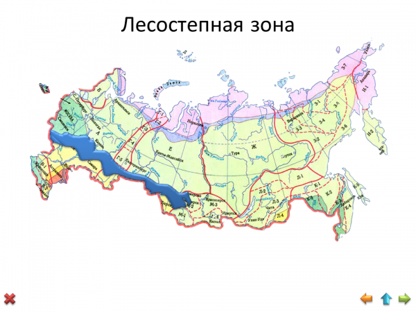 Лесостепная зона на карте. Лесостепная зона России. Лесостепная зона России на карте. Лесостепная зона РФ. Лесостепненве зоны на карте.