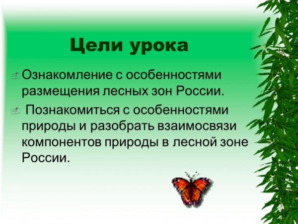 Тест лесные зоны россии. Презентация на тему Лесная зона. Лесные зоны презентация.