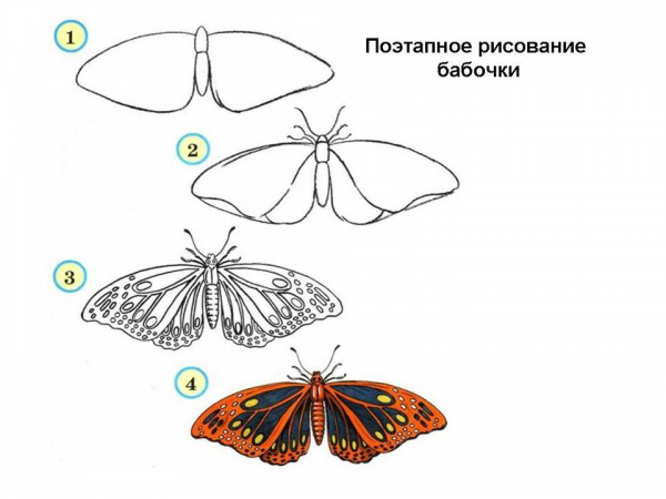 Презентация 