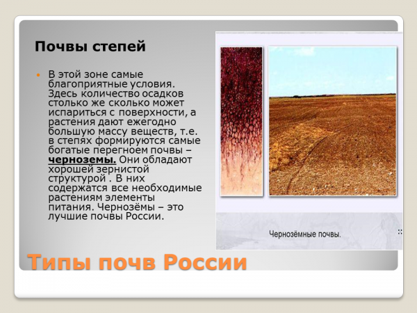 Почвы степи в россии. Почвы Степной зоны. Зона степей почва. Вид почвы в зоне степей.