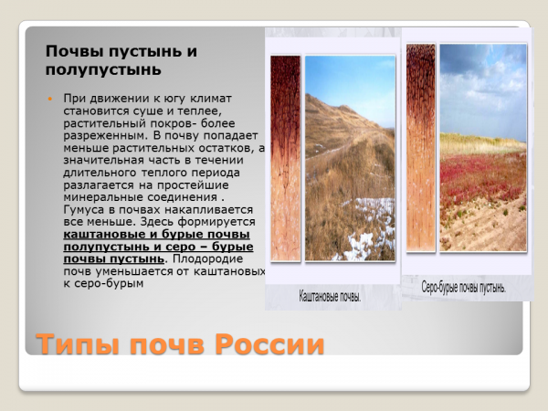 Особенности почв полупустынь. Почвы пустынь и полупустынь в России. Почвы пустыни в России. Почвы полупустынь. Полупустыни и пустыни почвы.