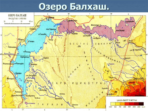 Озеро Балхаш это... Что такое Озеро Балхаш?