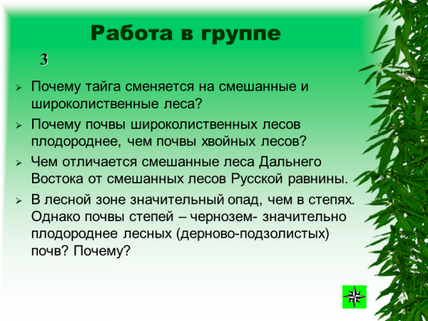 Какая характеристика в тайге. Лесные зоны презентация. Лесные зоны России презентация. Отличие смешанного леса от тайги. Чем отличаются смешанные леса от тайги.