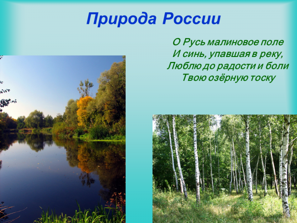 Презентация по окружающему миру "Как сберечь природу России"-4 класс