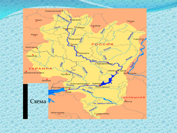 Дон на карте. Бассейн реки Дон на карте России. Воронеж Исток реки Дон. Река Дон впадает в Азовское море карта. Устье реки Дон на карте.