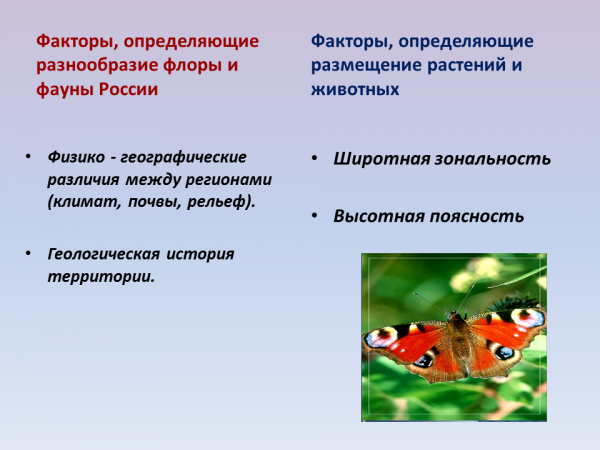 На разнообразие флоры и фауны влияют. Факторы влияющие на растительный и животный мир. Какие факторы на разнообразии Флоры и фауны. Факторы размещения растительности. Факторы влияющие на растительный и животный мир России.