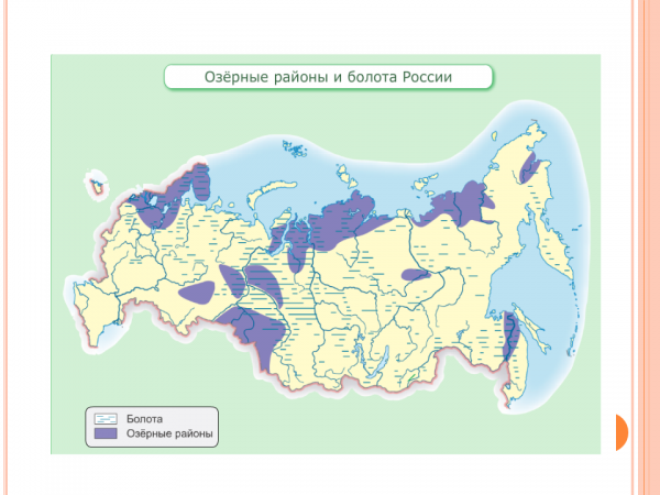 Болота распространены. Карта болот России. Карта распространения болот на территории России. Районы распространения болот в России на карте. Болота России на карте.