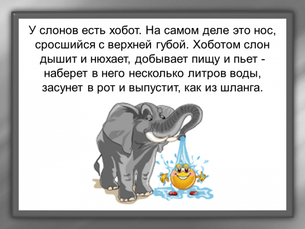 В рассказе слон какие герои. Загадка про слона. Образование хобота у слона это. Куприн слон картинки к рассказу.