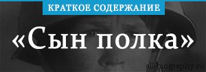 Полка краткое содержание. На содержание сына.