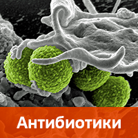 Завершены 250 тестов по истории Завершены 250 тестов по истории