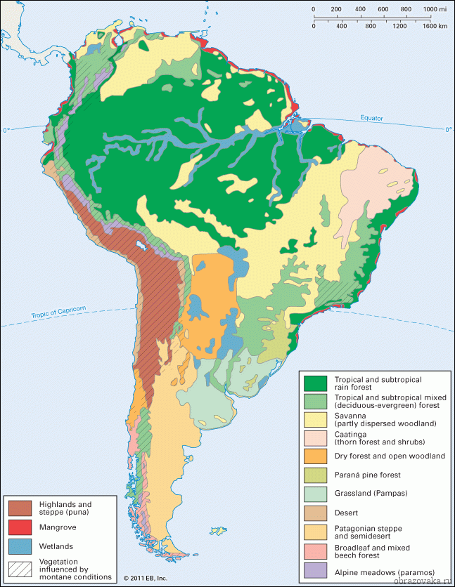 Доклад: Южная Америка