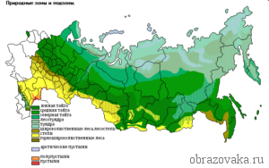 Природные зоны россии презентация 8 класс география