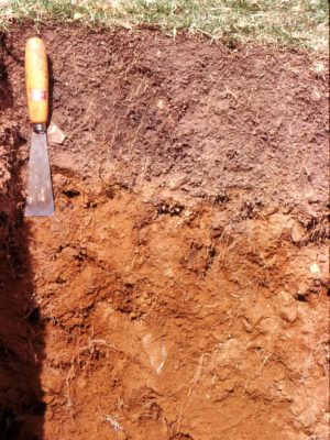 Преимущества и недостатки дерново-подзолистых почв