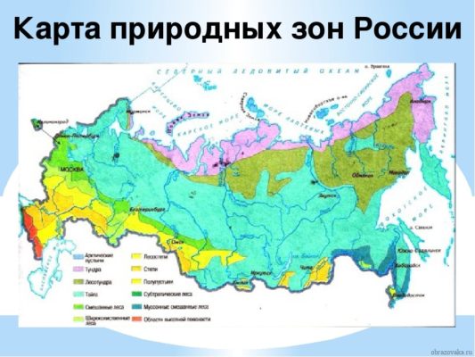 Схема природных зон России (2012 год)