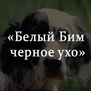 Краткое содержание «Белый Бим Черное ухо» Краткое содержание «Белый Бим Черное ухо»