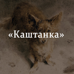 Краткое содержание «Каштанка» Краткое содержание «Каштанка»