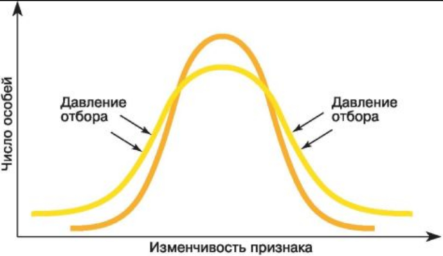 Схема движущего отбора