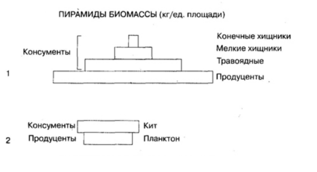 3D пирамида  технология будущего