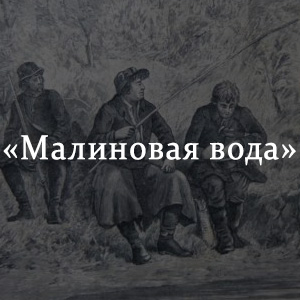 Краткое содержание «Малиновая вода» Краткое содержание «Малиновая вода»