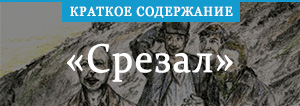 «Срезал» краткое содержание рассказа Шукшина – читать пересказ онлайн