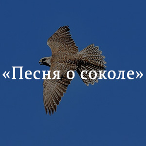 Краткое содержание «Песня о соколе» Краткое содержание «Песня о соколе»