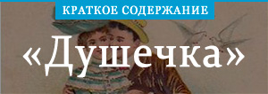 «Душечка» краткое содержание рассказа Чехова – читать пересказ онлайн
