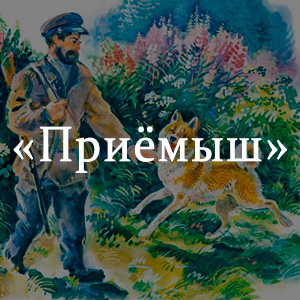 Краткое содержание «Приёмыш» Краткое содержание «Приёмыш»