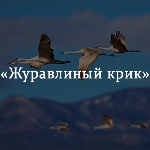 Краткое содержание «Журавлиный крик» Краткое содержание «Журавлиный крик»