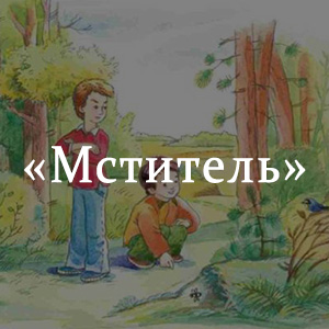 Краткое содержание «Мститель» Краткое содержание «Мститель»