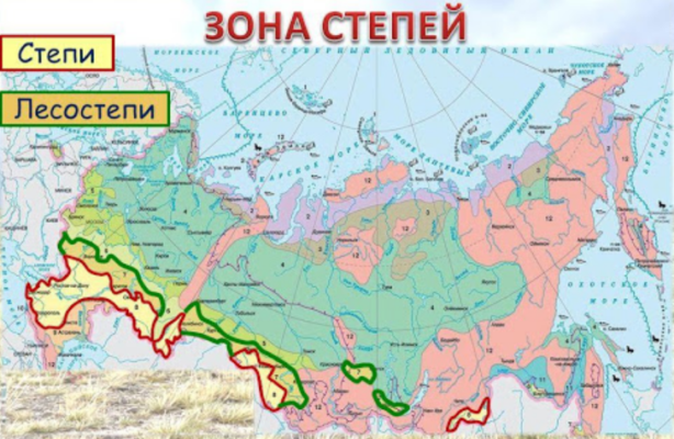 Лесостепи России, карта (2012 год)