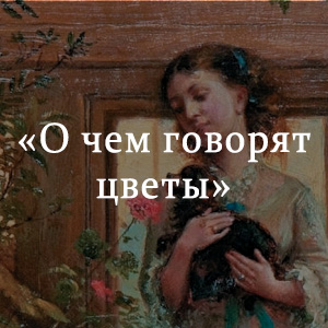Книга молли маленькая волшебница. Санд ж. Санд о чем говорят цветы книги. Говорящий цветок читать. Говорящий цветочек.