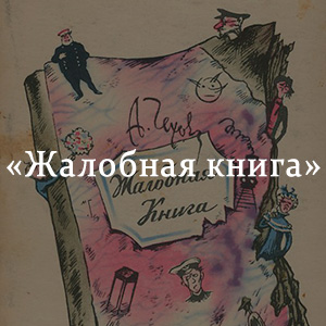 Краткое содержание «Жалобная книга» Краткое содержание «Жалобная книга»