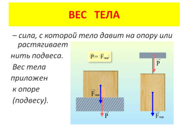 Вес тела