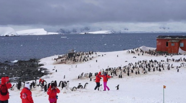 Туристы в Антарктиде