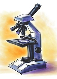 Краткое содержание «Микроскоп»