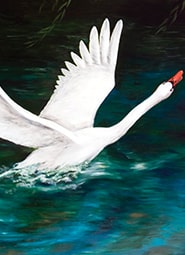 Краткое содержание «Не стреляйте в белых лебедей»