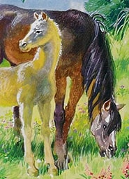 Краткое содержание «О чем плачут лошади»