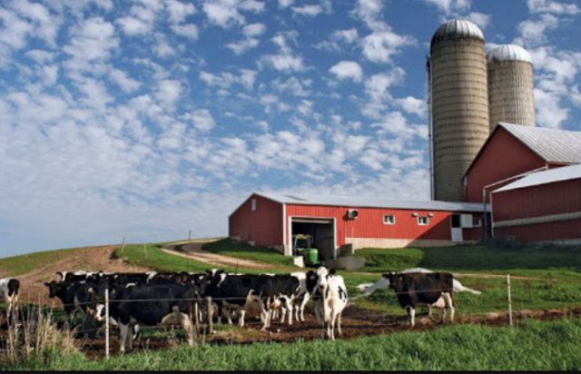 Ферма в США